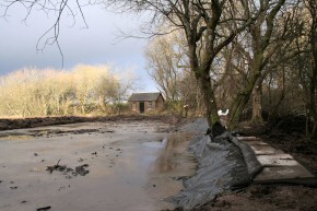 Picture of clearance work at Drumore Pond, December 2009, 29KB